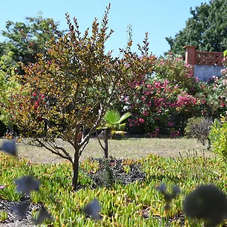 De Gracia Casa 3 Holiday home