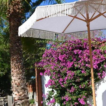 De Gracia Casa 3 Tordera