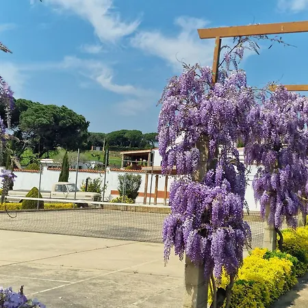 Holiday home De Gracia Casa 3 Tordera